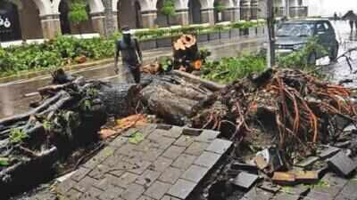 720 killed, 2,408 injured in Mumbai disasters over 6.5 years: RTI
