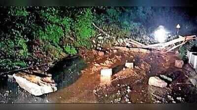 Heavy rains trigger landslide on Valparai ghat road