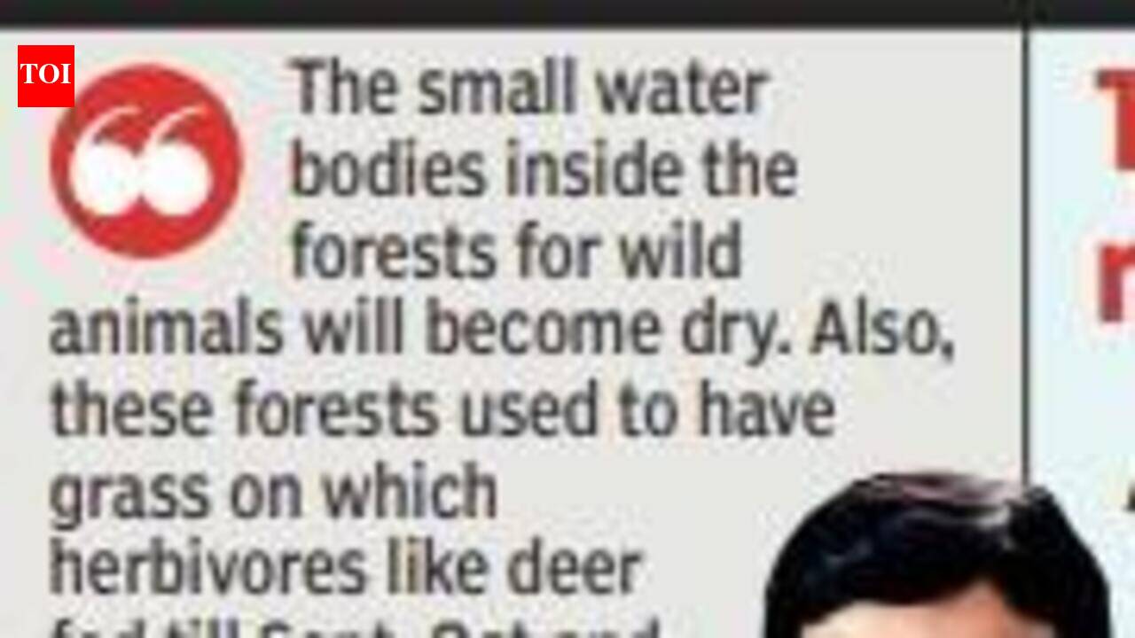Farms to come under wild attack if forests go dry: Min