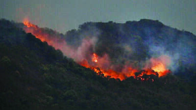 Goa braces for forest fire threat, early warning system in works