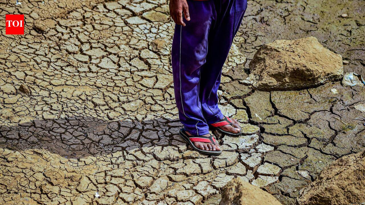 Divert Kumbh Mela and Shaktipeeth Expressway funds for drought relief: Congress