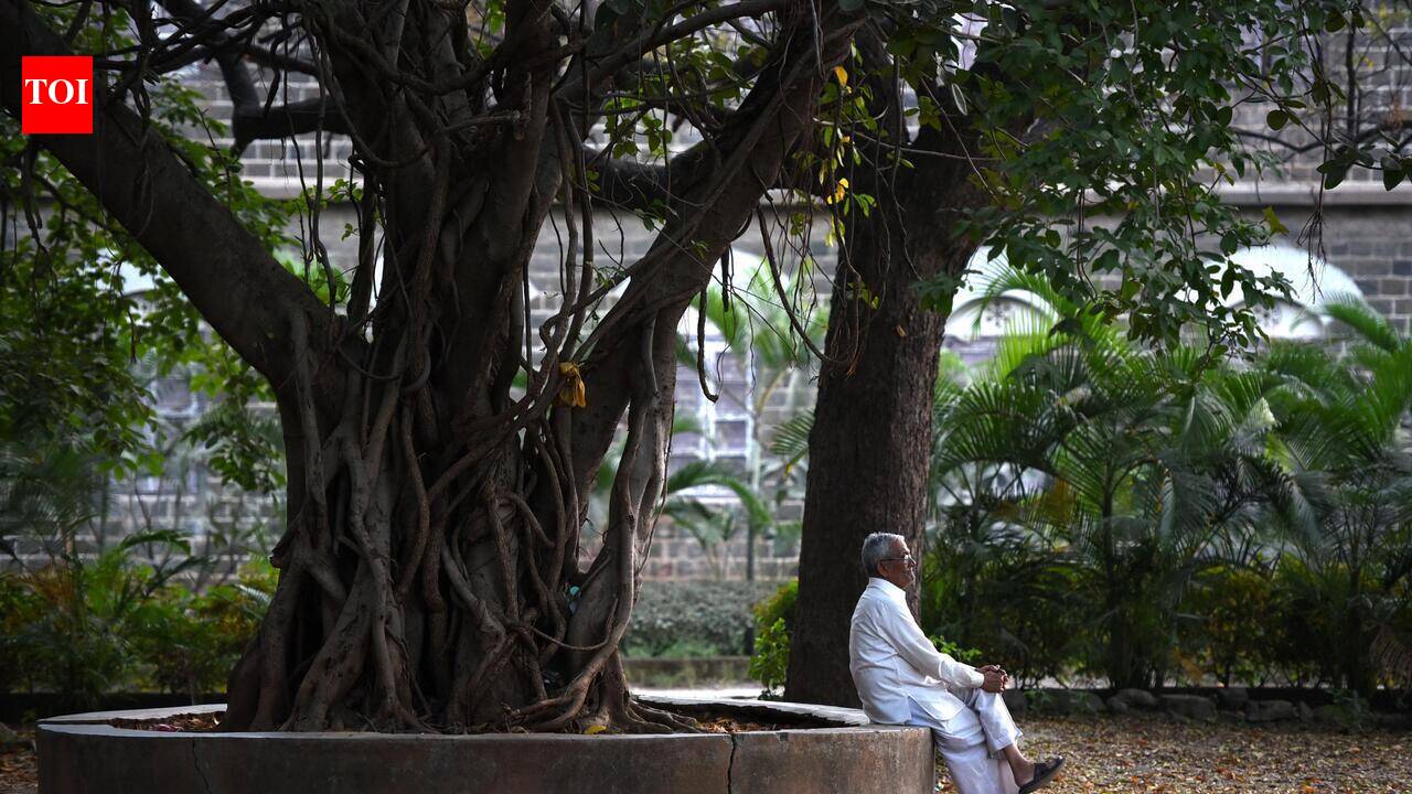 99-year-old Pune man survives fall that could’ve paralysed him, thanks to ‘daily walks’