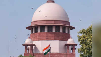 Why are uninsured vehicles not part of crash relief scheme? Supreme Court