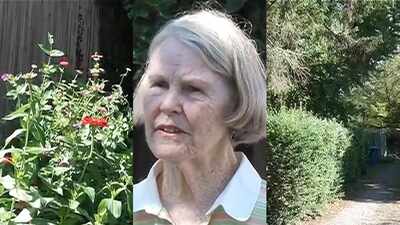 Virginia woman began planting flowers in a neglected alley in Roanoke; it became a stopover for Monarch butterflies, inspiring neighbours to contribute plants and create a pollinator habitat: How an ordinary urban space became an ecological refuge