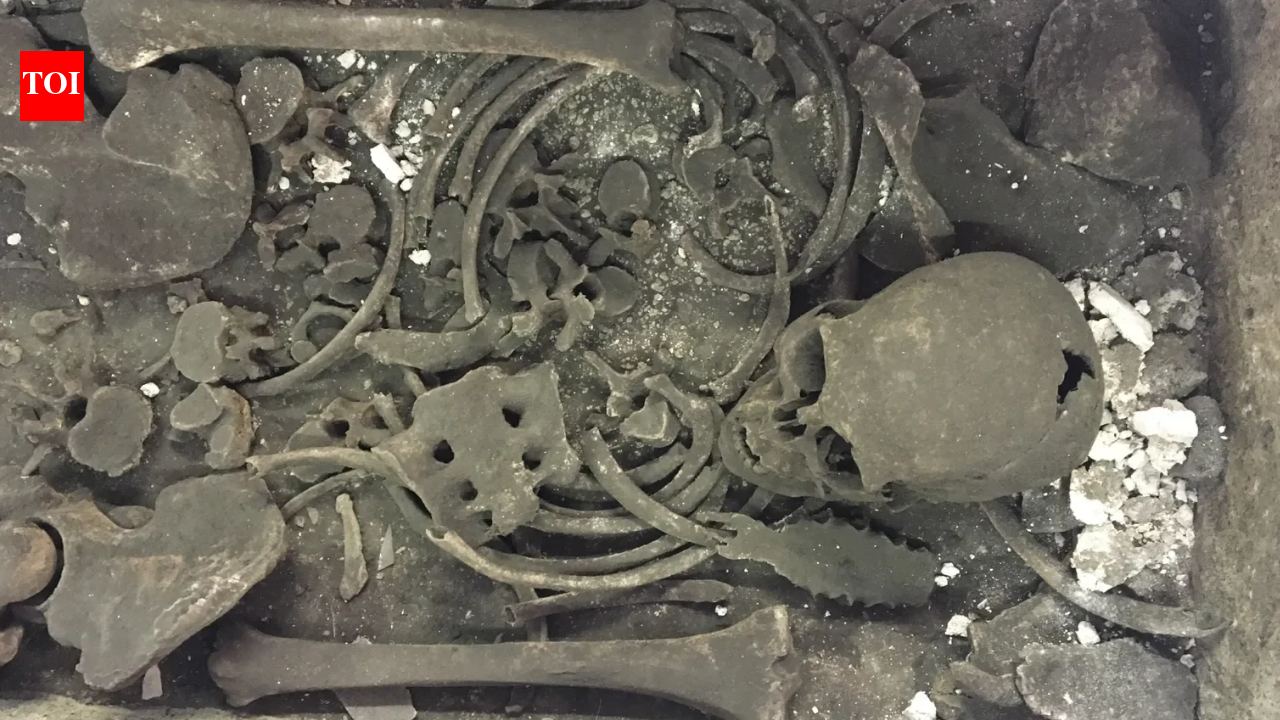 New Study Of Westminster Sarcophagus: Roman coffin holds medieval abbot; identity still debated
