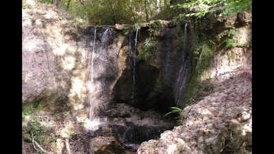 Mississippi is not all about cotton fields and slow river bends: This protected preserve in the area hides 50 waterfalls, beech and magnolia trees, deep loess ravines, and a hike here feels like finding a secret the map forgot to reveal
