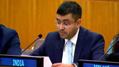 'India-based' D-Company tag: New Delhi rebukes UN rapporteur, flags 'glaring inaccuracies'