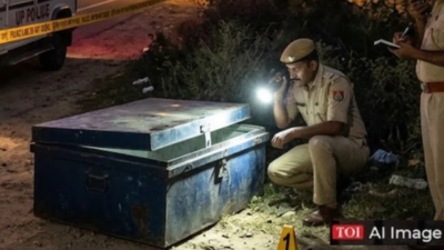 Unnao murder mystery: How woman and YouTuber friend killed her husband in room, stuffed his body in box and transported 21km away