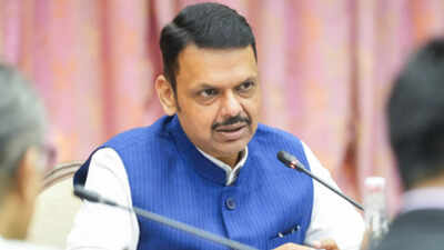 CM Devendra Fadnavis announces mega chemical park near Vadhvan Port, seeks Centre’s nod for 2,500-5,000 acres in Maharashtra