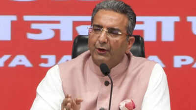 'Congress spreading anarchy': BJP draws parallel between France and Delhi protests