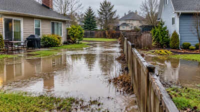 Two Michigan neighbours spent years fighting over water flowing across their land; a jury awarded $85,000 in damages to one side and $91,250 to the other, and an appeals court upheld both awards