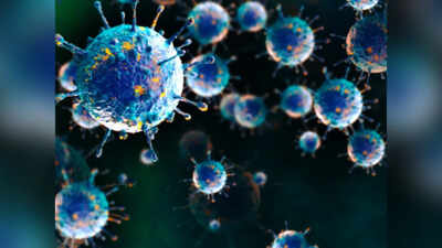 Shamonda virus detected in human for first time in France; patient dies