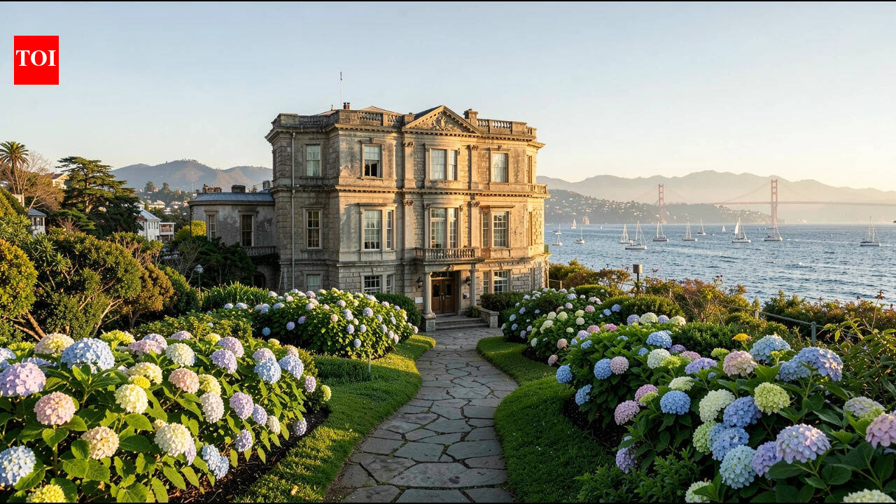 California oral surgeon bought a historic waterfront restaurant for $3. ...