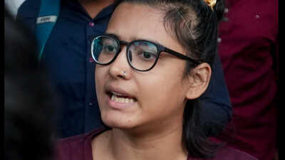‘No permission needed to hoist national flag’: Neha Bora tells Delhi HC, challenges police notice