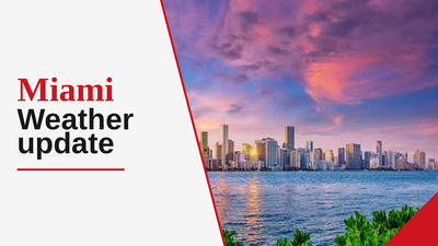 Miami weather forecast: Muggy conditions and 91% chance of rain ...
