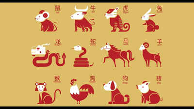 Horoscope Today, October 24, 2026: Chinese Zodiac Animals Who May Find Peace at Home, If They Choose Their Words Carefully