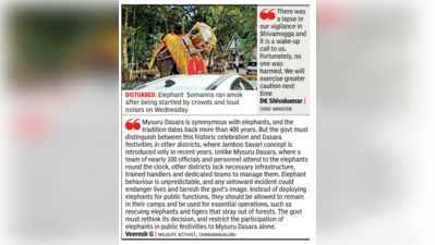 Elephant incident sparks inquiry and safety debate