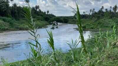 Field-level study to check Arkavathi pollution