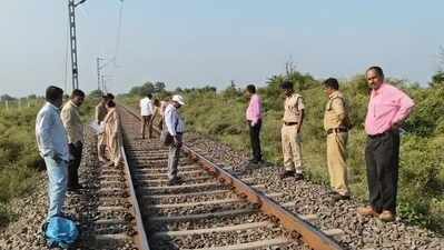 Lion feared injured after being hit by train in Amreli