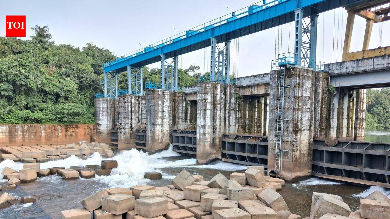WRD to place concrete cubes in Khandepar ravines to protect Opa barrage ...