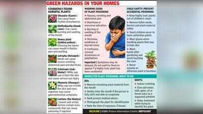 Experts warn of hazards hidden in ornamental plants