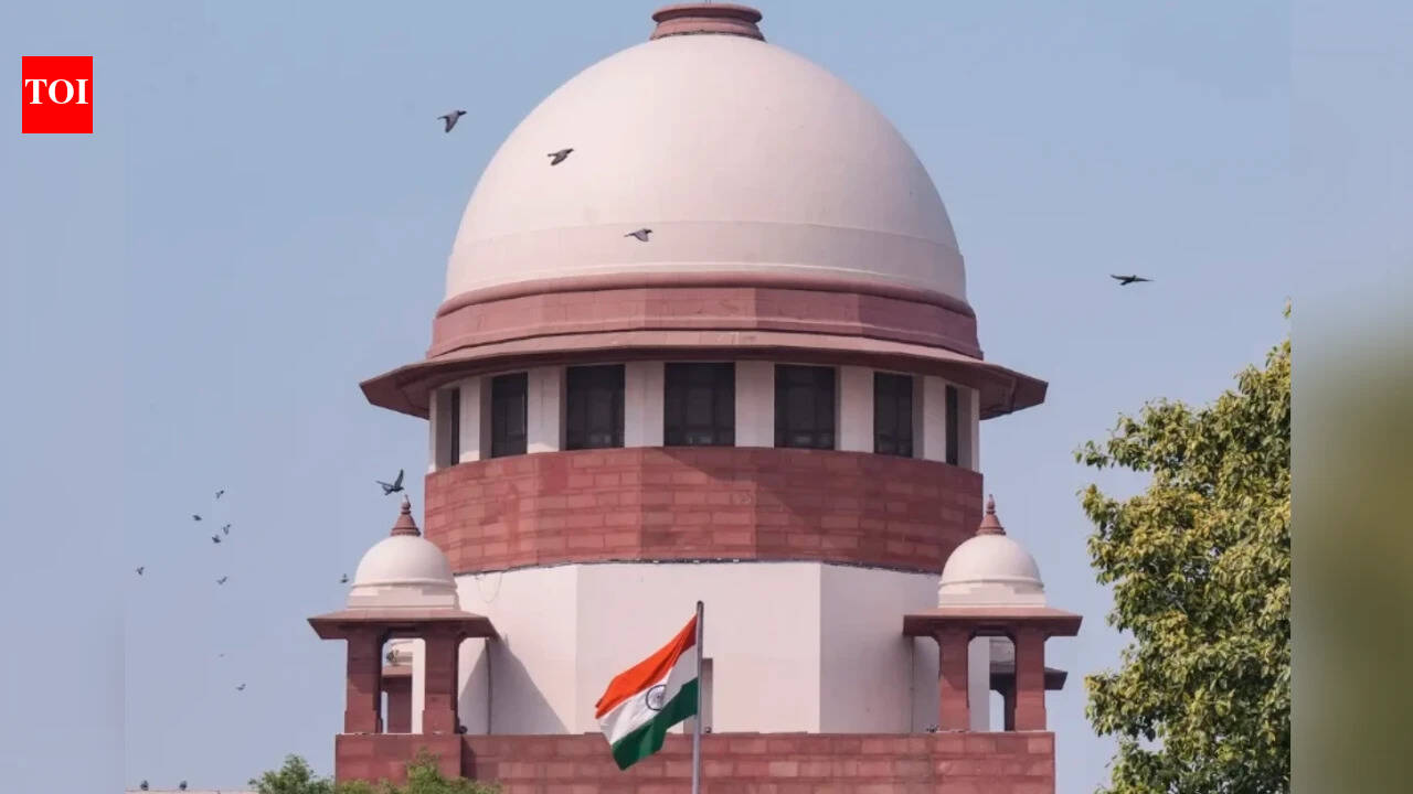Don’t blindly follow foreign custody order: Supreme Court
