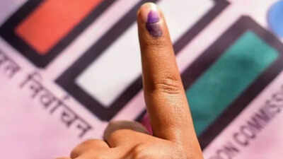 Bihar MLC polls: 5.32 lakh voters to decide fate of 150 candidates across 8 seats, JD(U) rift adds intrigue