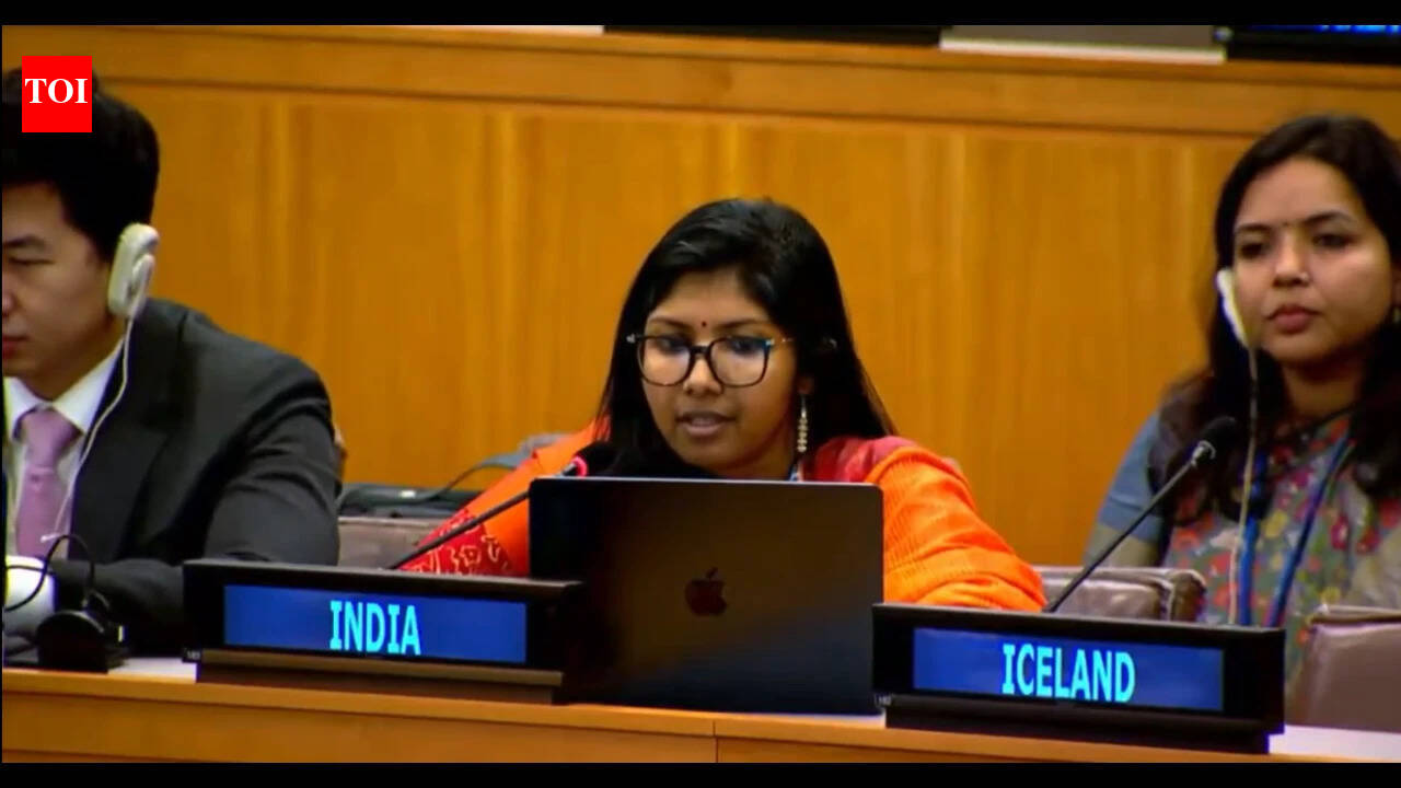 'No standing to lecture India': New Delhi hits out at Pakistan over minority rights at UN