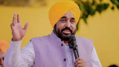 Pursue dreams through honesty, hard work: Punjab CM Mann to schoolchildren