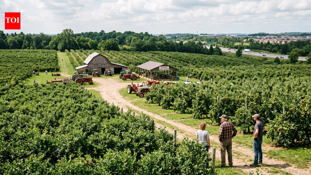 Ontario farmer rejects C$16 million offer to protect his 164-acre fruit farm