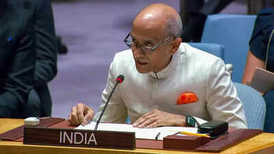 'Can't drive into future looking at rearview mirror': India calls for urgent UNSC reforms