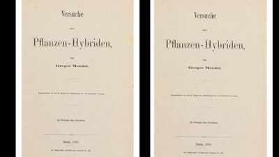 In 1866, a monk printed 40 copies of his pea-plant research, but his discovery was ignored for 34 years; one rare surviving copy passed through a 2016 auction before selling for Rs 6.10 crore in 2026