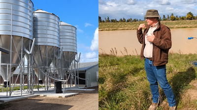 An Australian chicken farmer found a way to turn 35,000 tonnes of poultry waste into electricity, fertiliser and natural food dye; a larger plant could power 1,200 homes