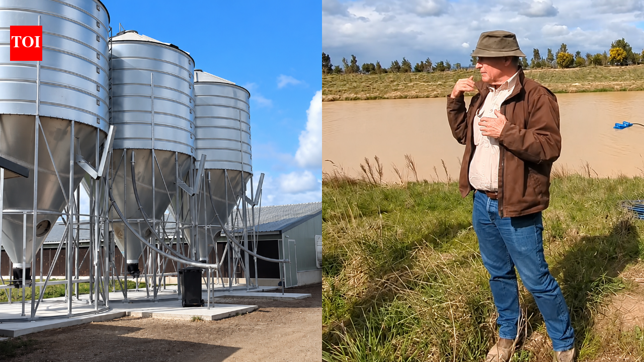 Australian farmer turns poultry waste into power, fertiliser and natural food dye