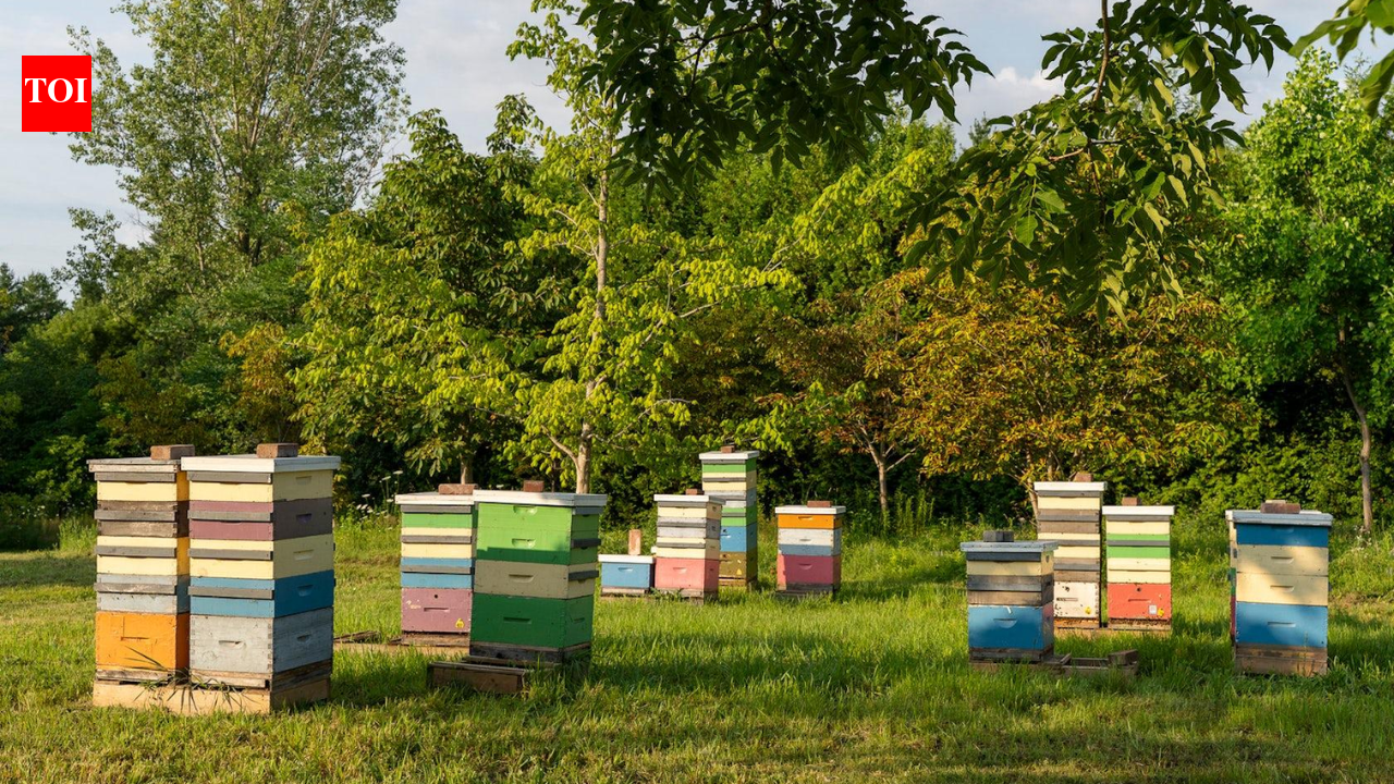 Canadian club with 4 members to donate nearly 100 acres for bee research
