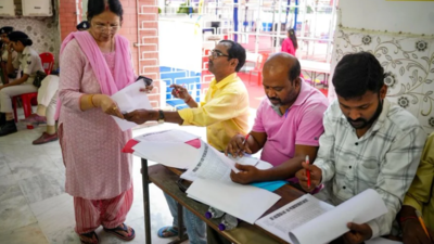 Bihar legislative council polls: Teachers outpace graduates in voting