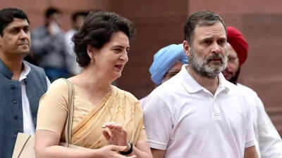 'No tweet yet for Raihan Vadra': BJP floats 'Priyanka vs Rahul' angle amid Bikaner House exhibition row