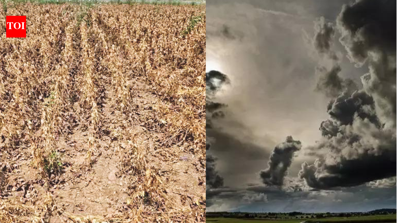 Maharashtra’s weather is 'shifting' for good: Why our familiar climate is quickly becoming a 'thing of the past'