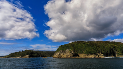 In 2025, Leonardo DiCaprio's conservation group helped buy more than 52,000 acres on a Chilean island to prevent mining and logging; a year later, its future as a protected area is being negotiated