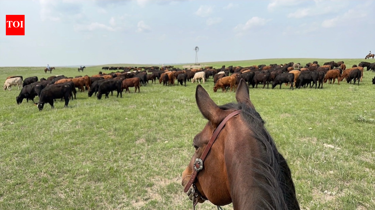 Pawnee Springs Ranch in Lincoln County, Nebraska