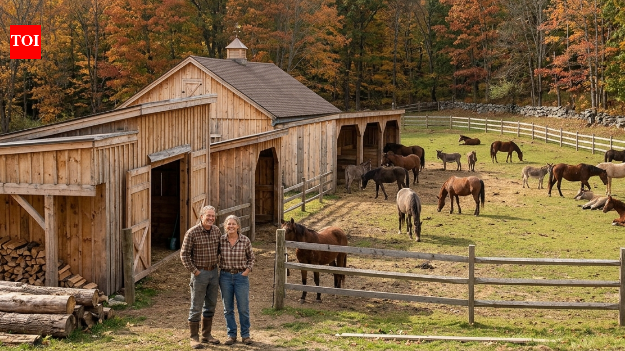 A Massachusetts couple cut trees from their own land to build barns for ...