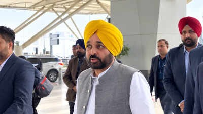 'Head of customs brother of CEC Gyanesh Kumar': Bhagwant Mann on 'detention' at Delhi airport