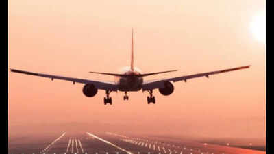 TN slashes VAT on aviation turbine fuel to boost intra-state flights, reduce airfare
