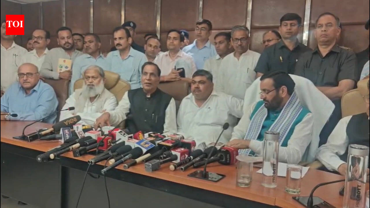 Haryana power strike ends: Govt to invoke Section 108, file review plea against HERC's licence for Gurgaon, Nuh