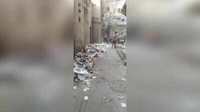 Repeated hopper strikes hit Kishanpole as Diwali nears