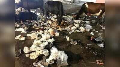 Ramganj left out again as JMC plans pre-Diwali clean-up