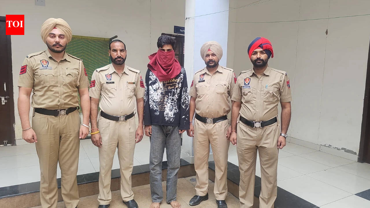 Stone-pelting on Kashmir-bound bus: 'Robbery plot' behind Punjab attack ...