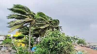 Season’s first cyclonic storm likely to form off north Andhra, south ...