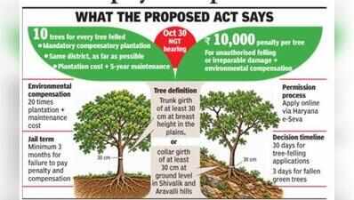 Haryana drafts tree law, moots 3-month jail for failure to pay compensation