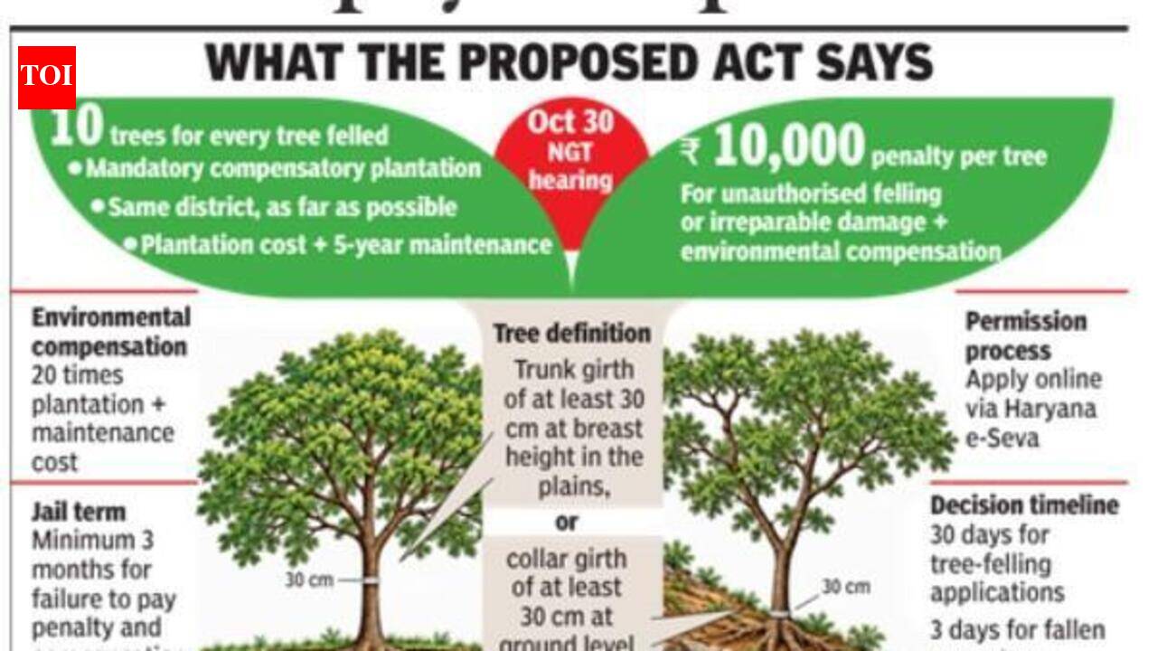 Haryana drafts tree law, moots 3-month jail for failure to pay compensation